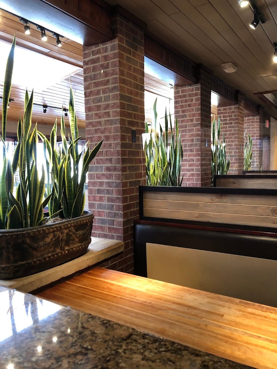 Lbk Plantscapes & Lawn Care, photo 2