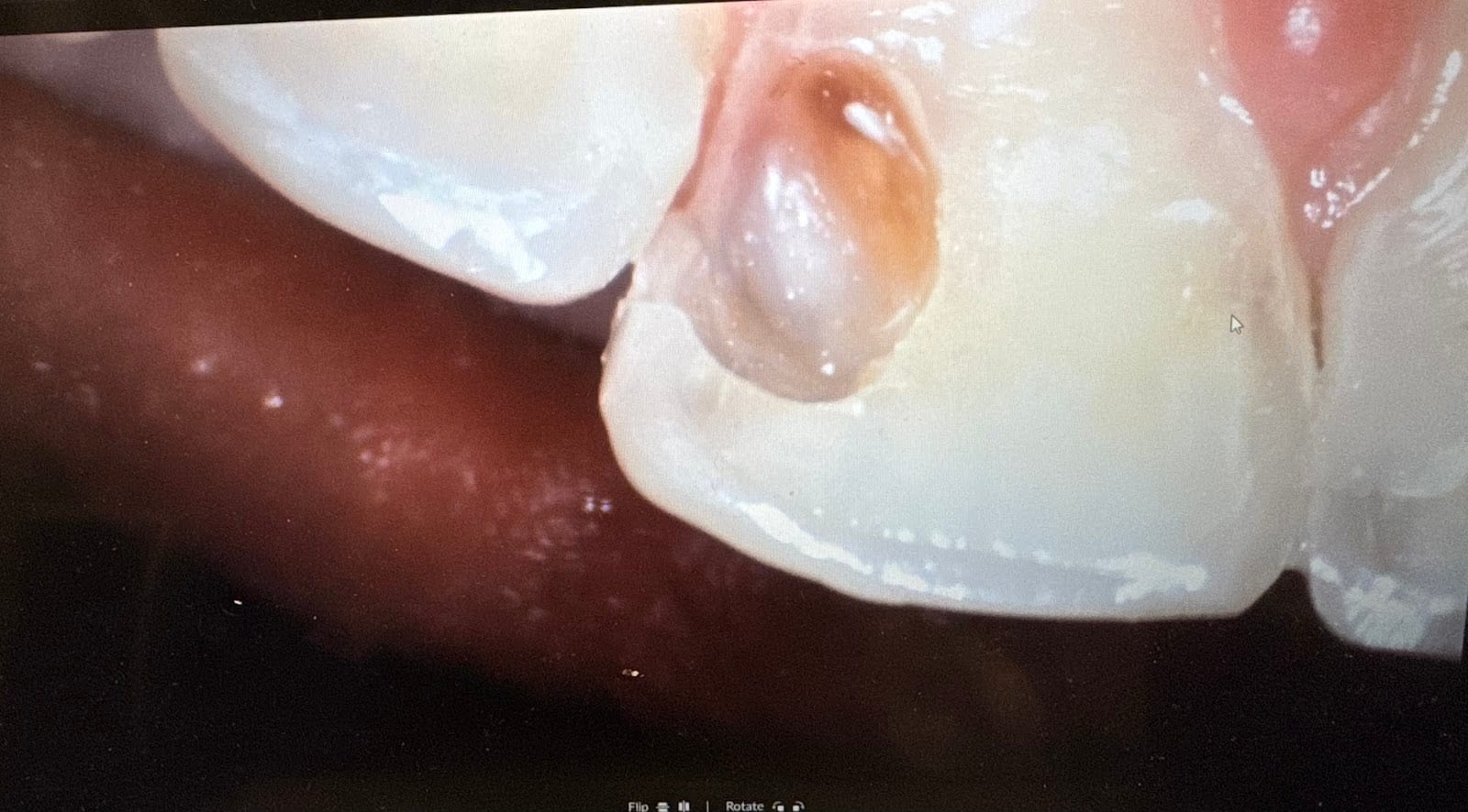 Luz Hernandez DDS