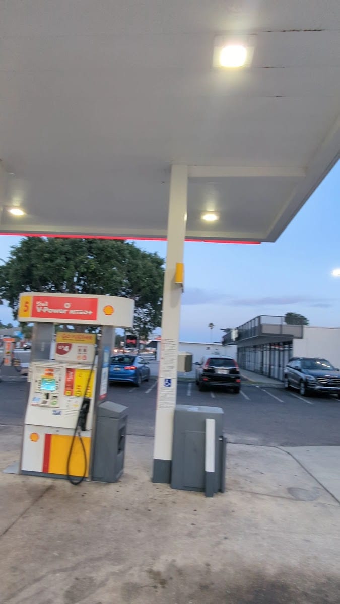 Shell, photo 3