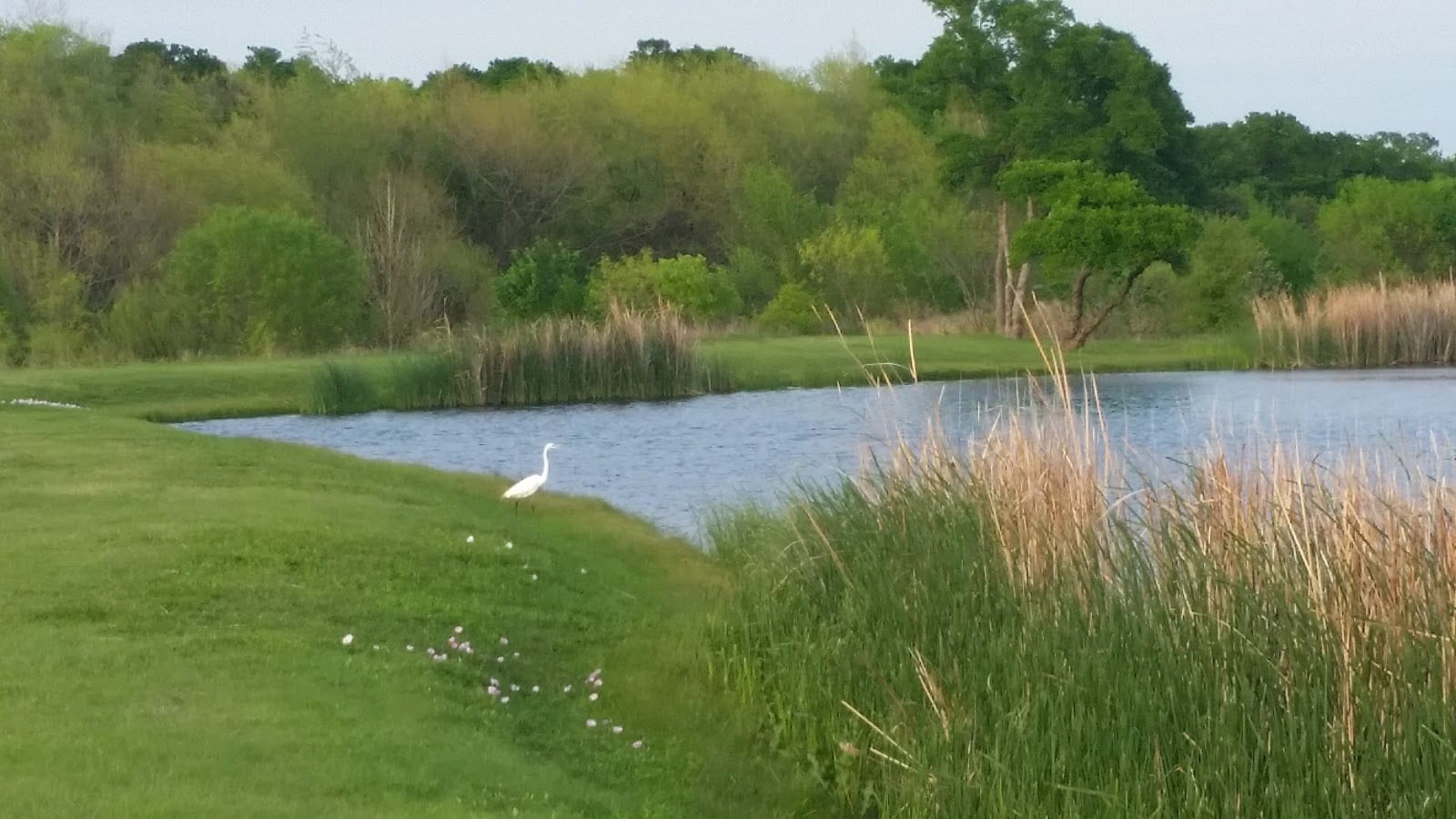 Nob Hill Greenbelt