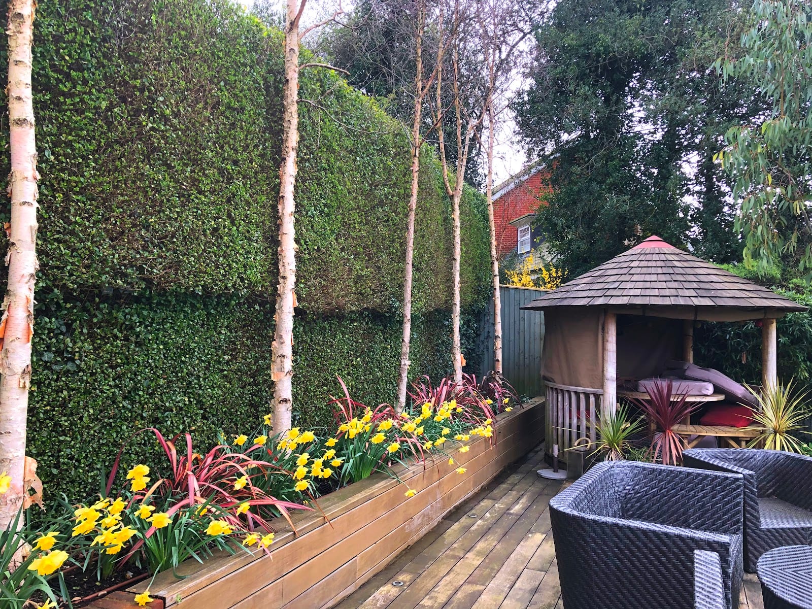 Olive Tree Gardens, photo 3