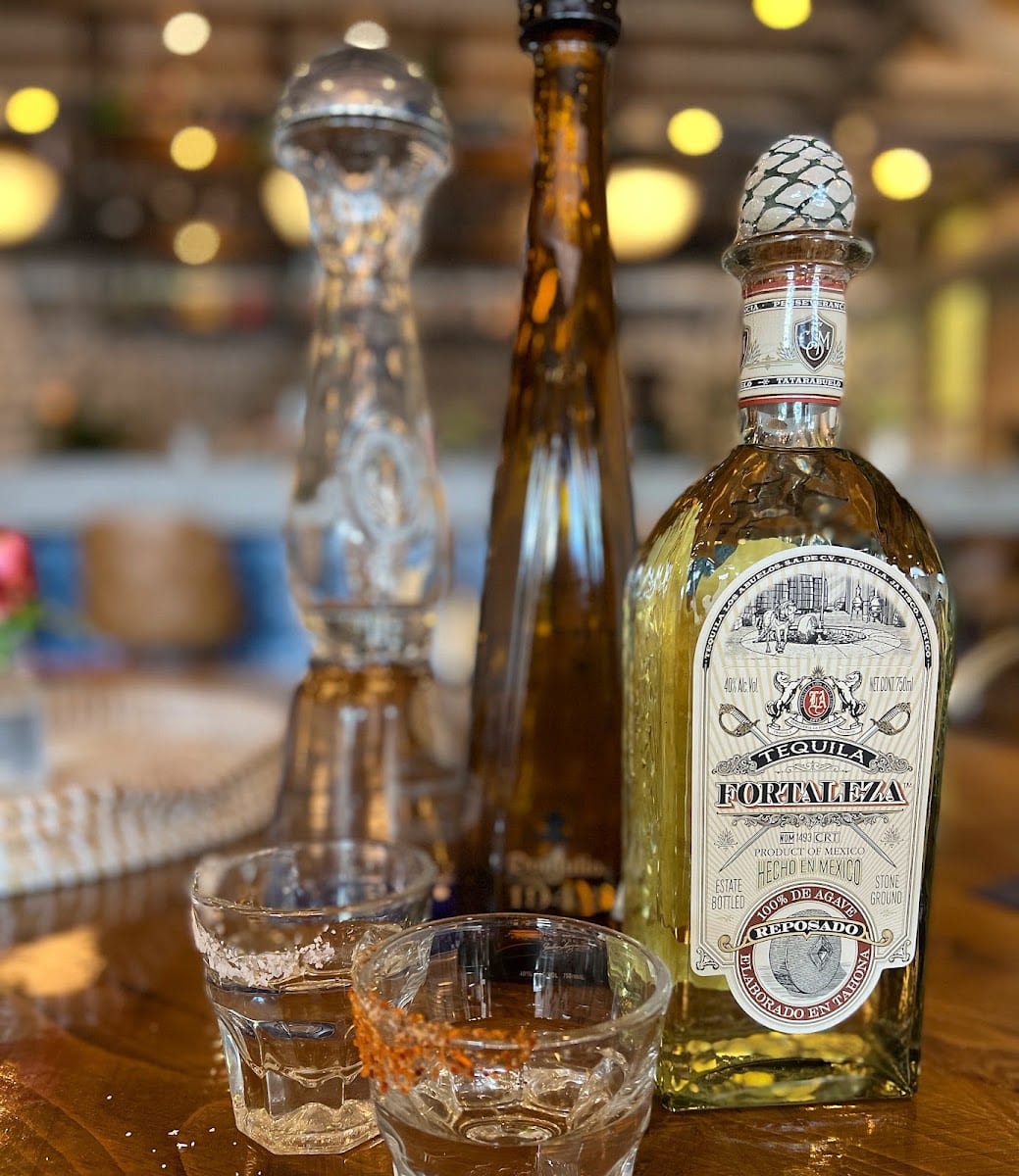 Wild Cactus Cantina & Grill
