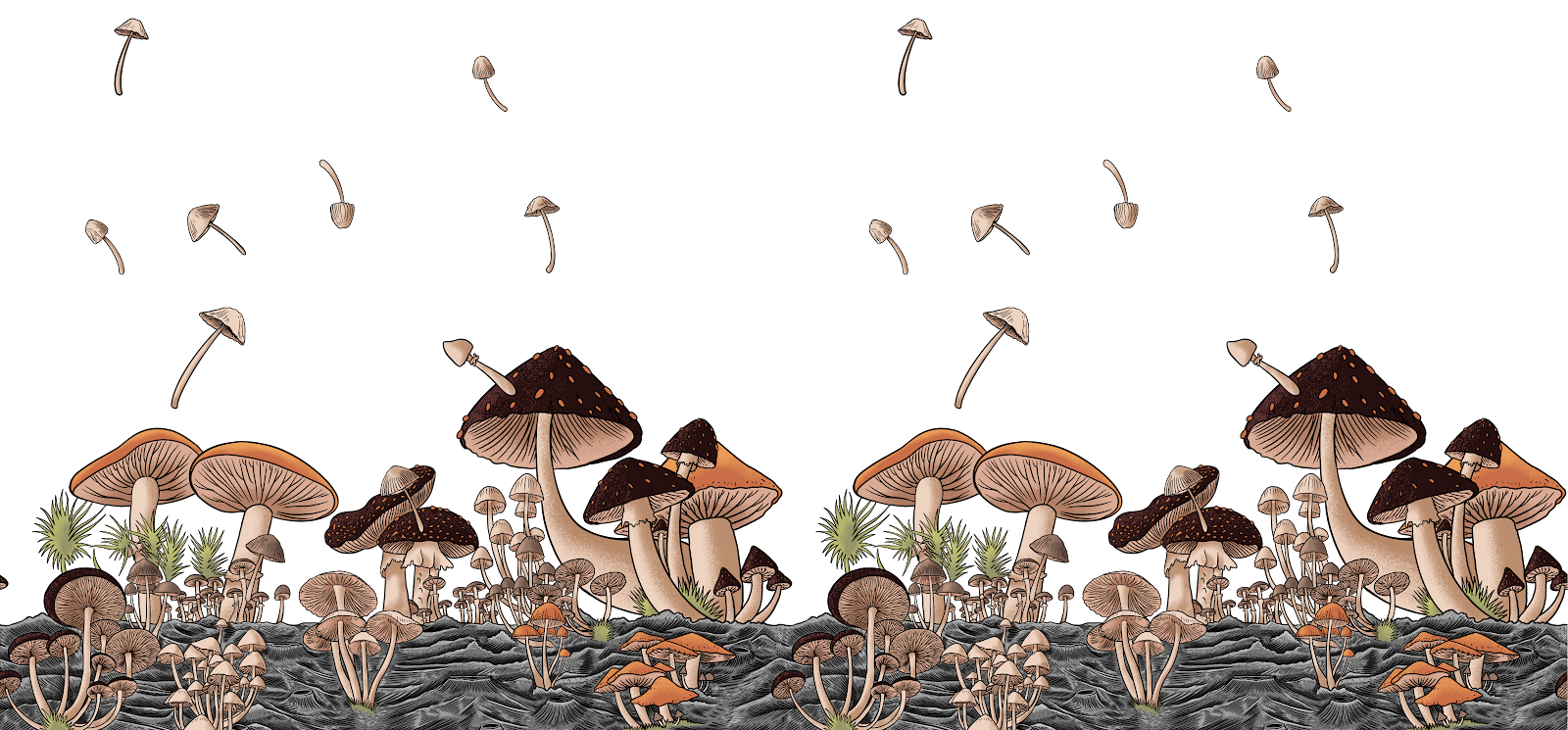 Simply Shroom Cafe, photo 4