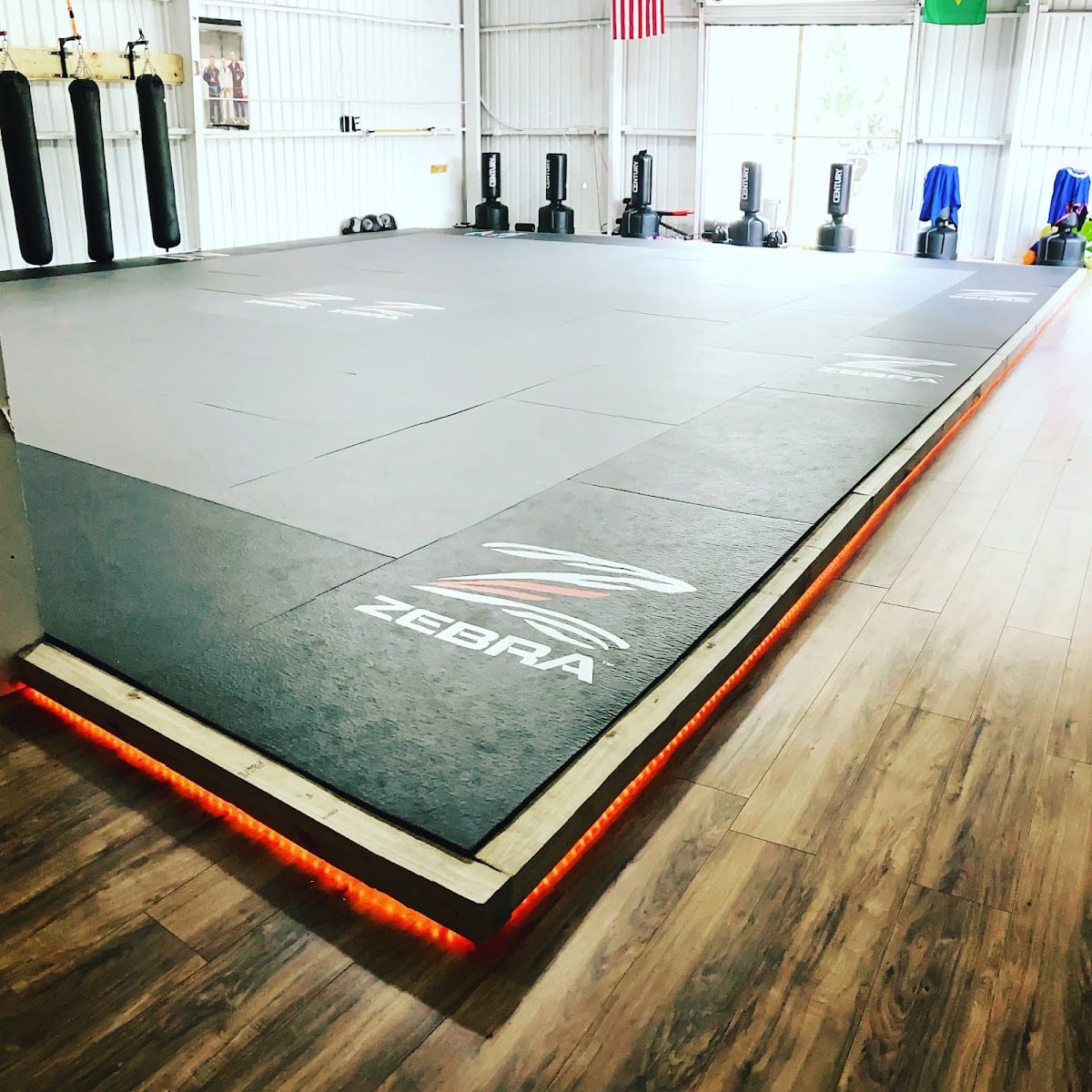 Rilion Gracie Jiu Jitsu Panama City, photo 2
