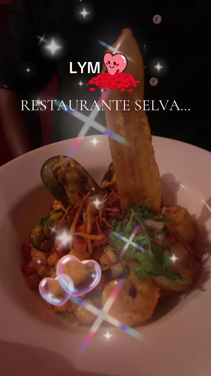 Selva Downtown Sarasota, photo 3