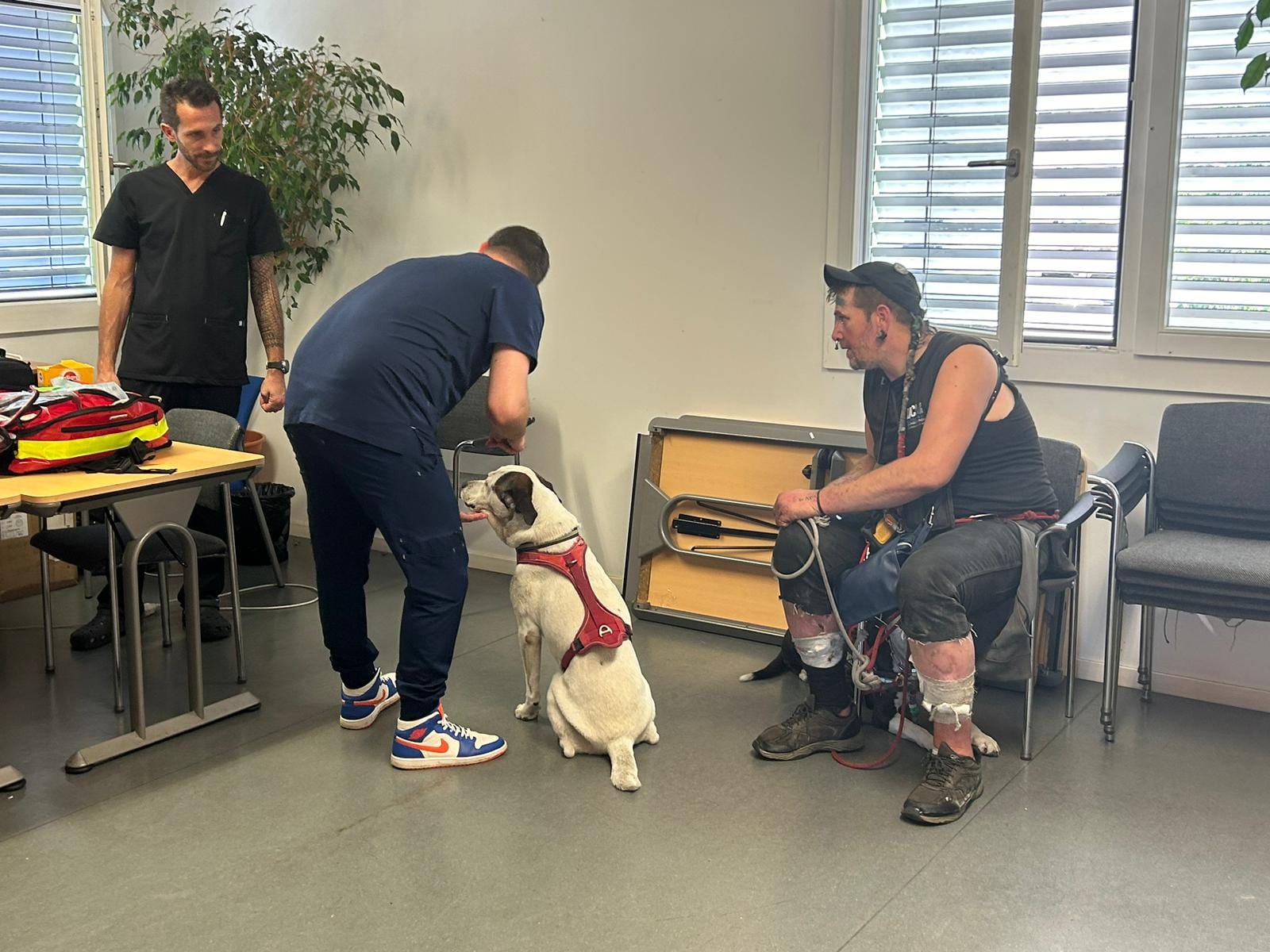 Consultation v&eacute;t&eacute;rinaire solidaire organis&eacute;e par Max & Chipy &agrave; Gen&egrave;ve