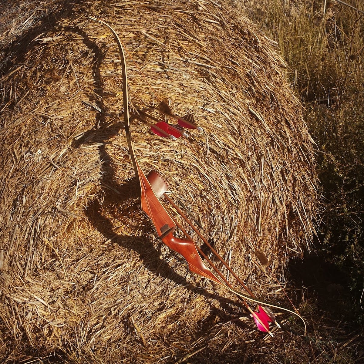 V8 Ranch, photo 2