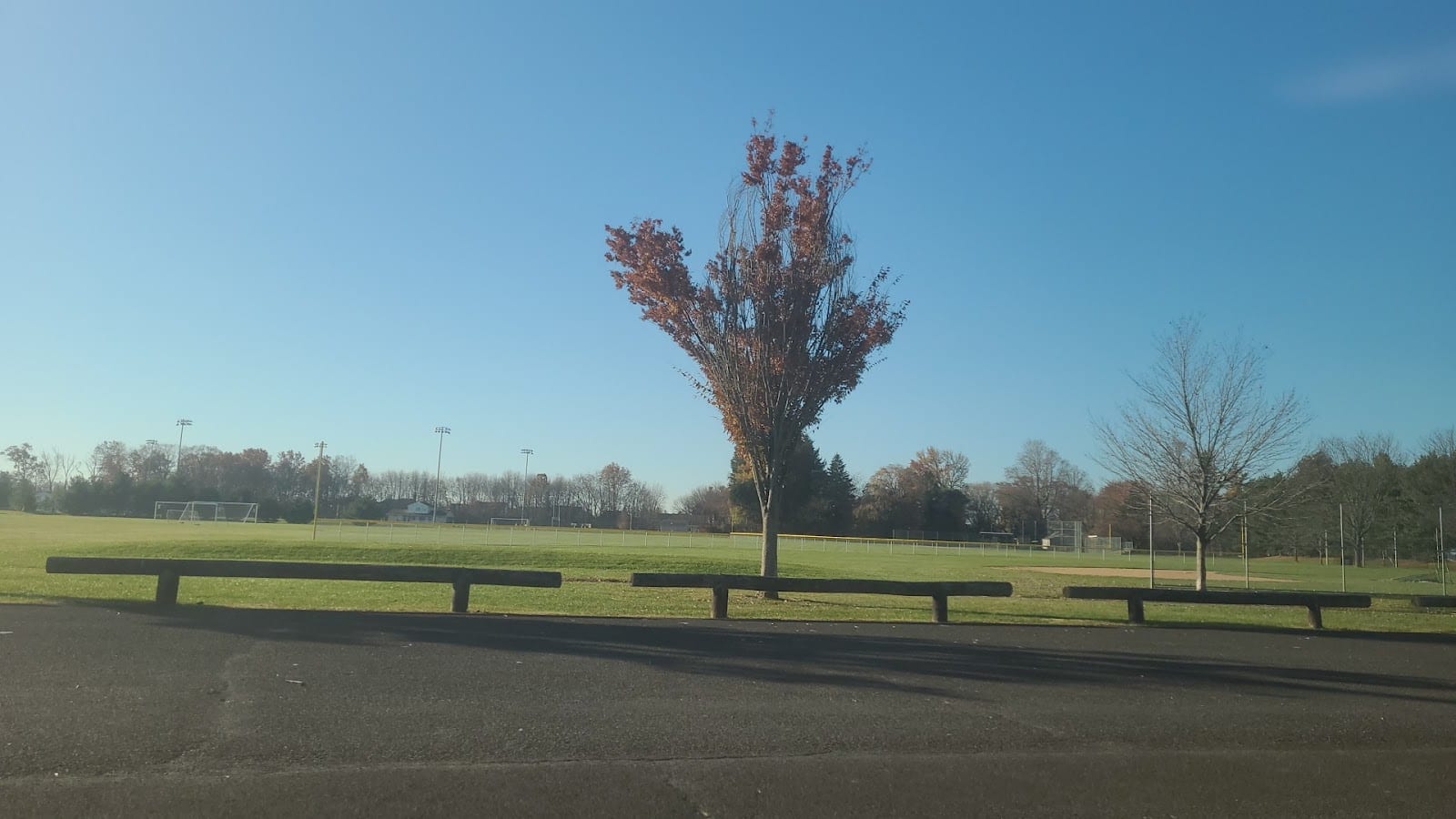 Turk Park III