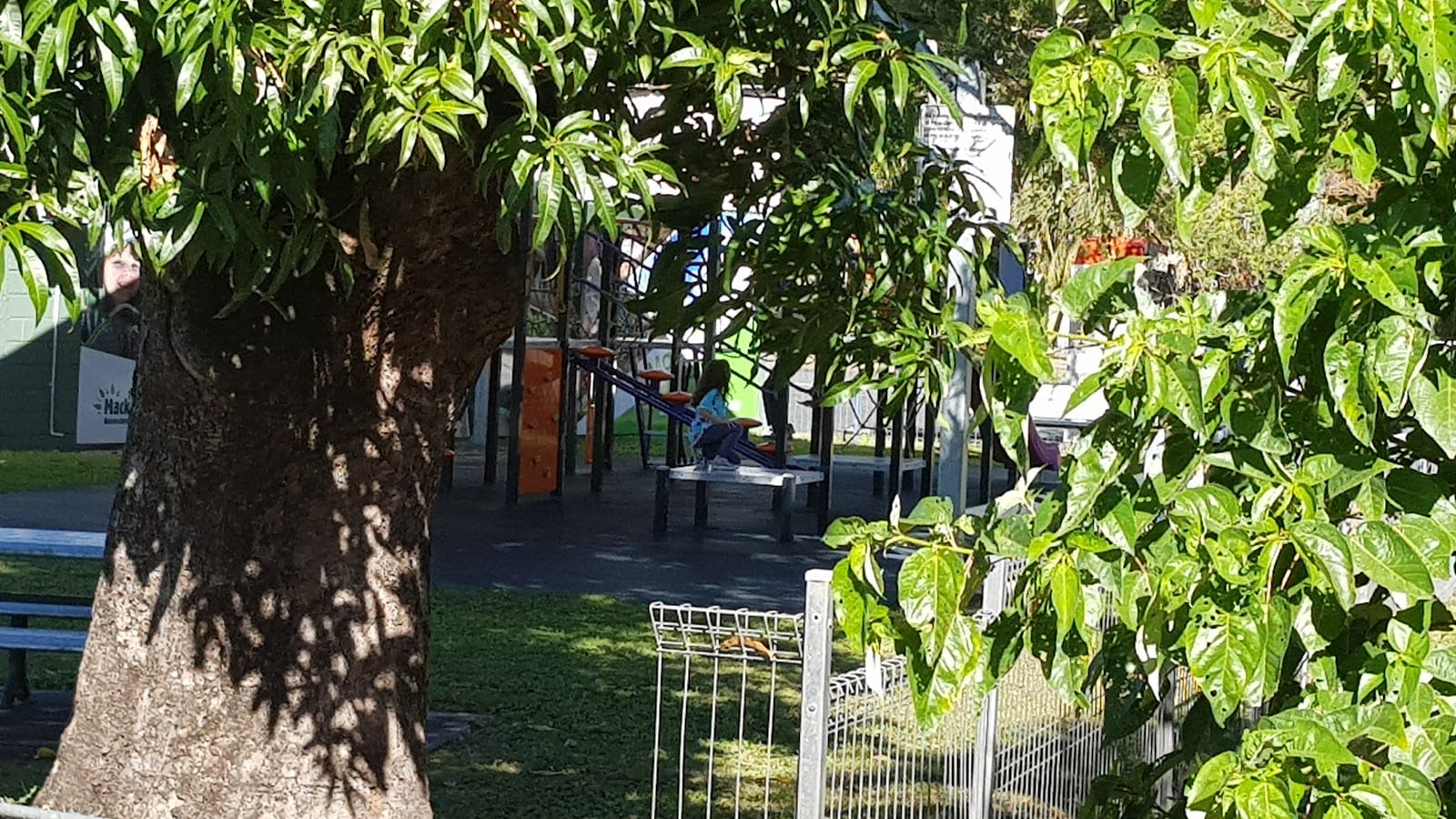 Lions Park