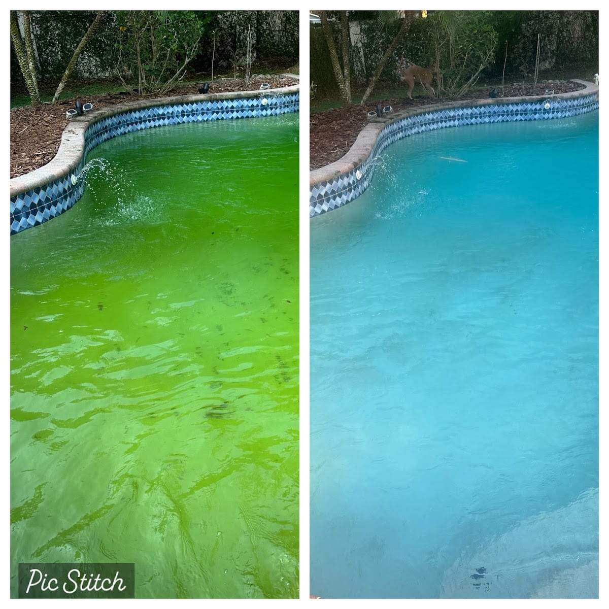 Anchor Pool Maintenance, photo 4