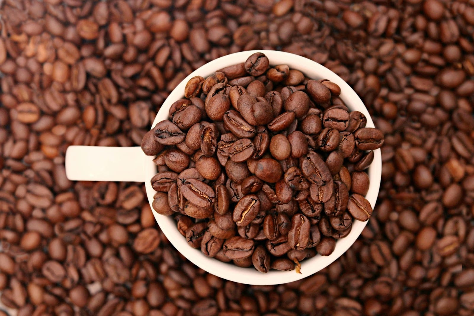 Mockingbird Coffee Co., photo 2