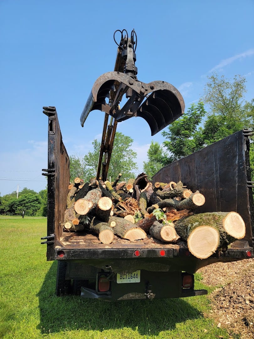Shepard's Tree Removal, photo 3