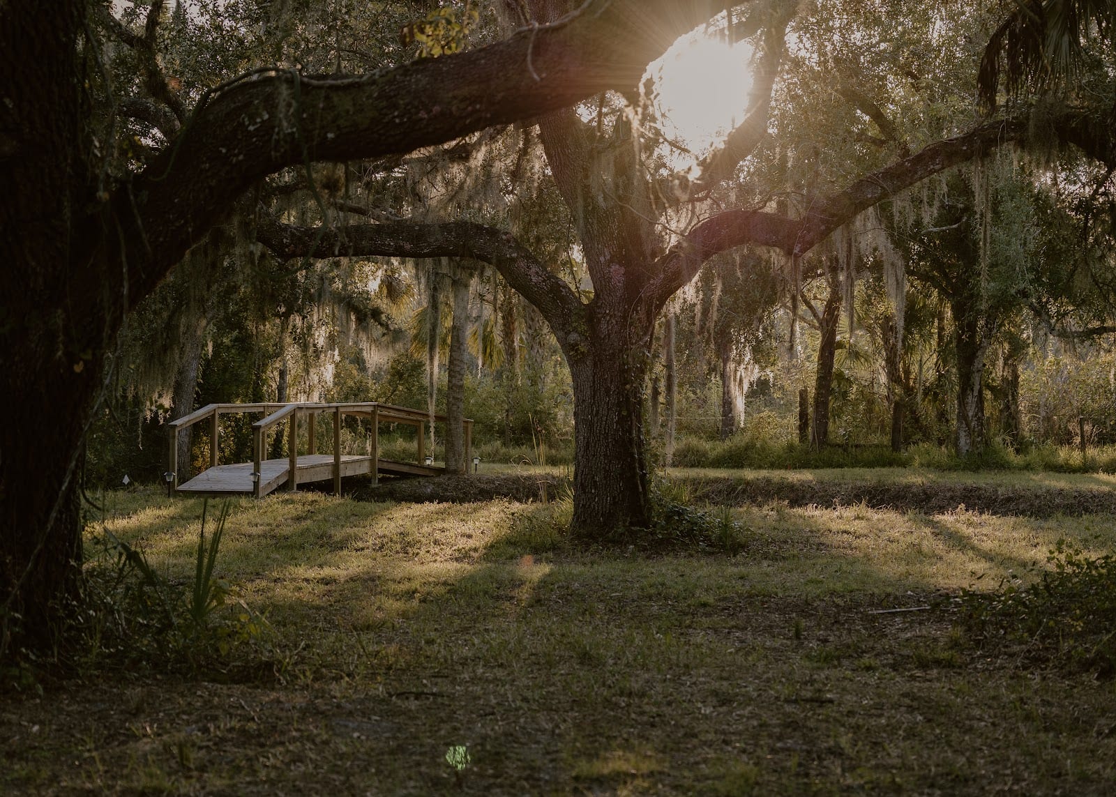 Serene Oaks Venues