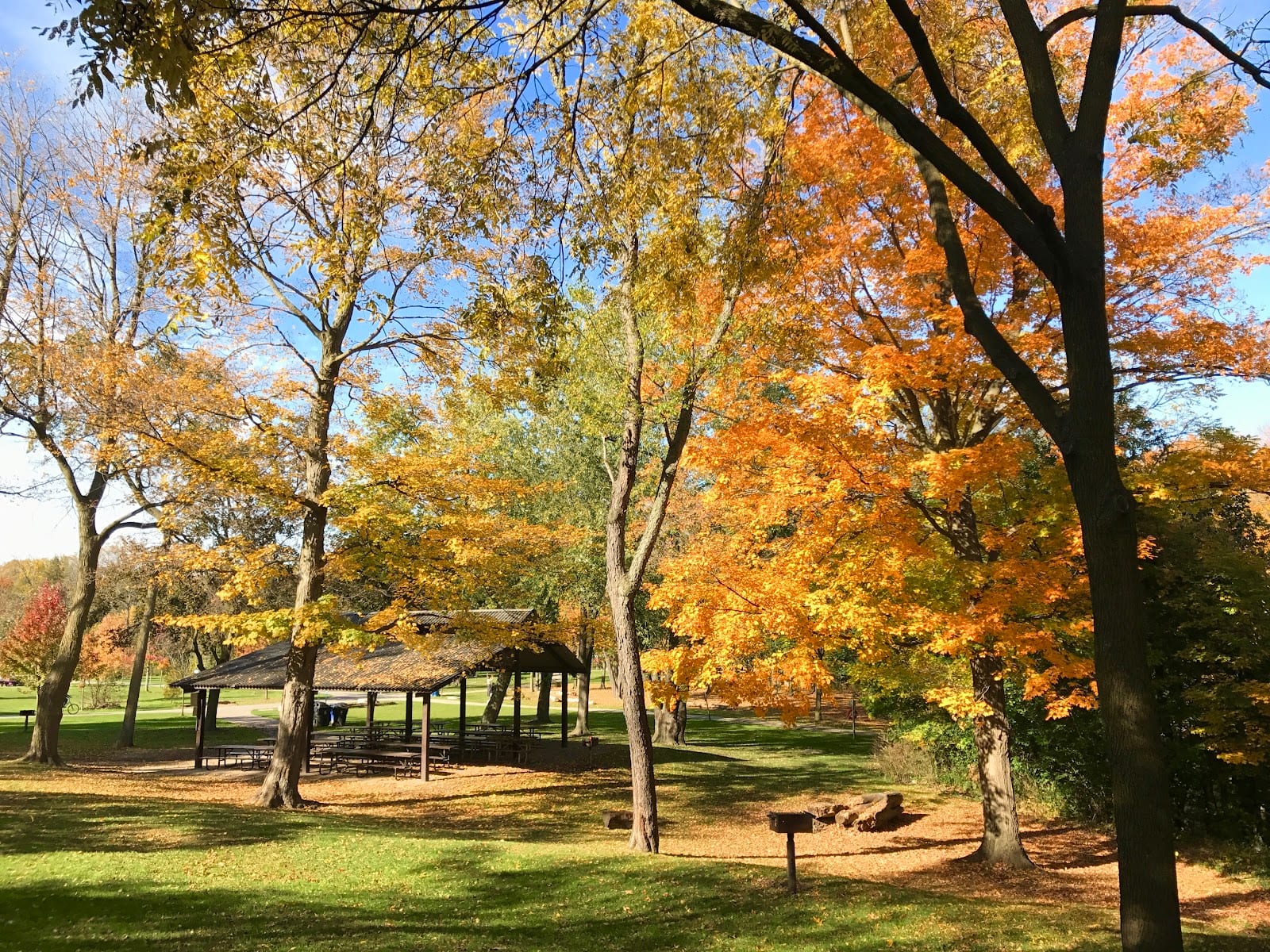 Thomson Memorial Park, photo 3