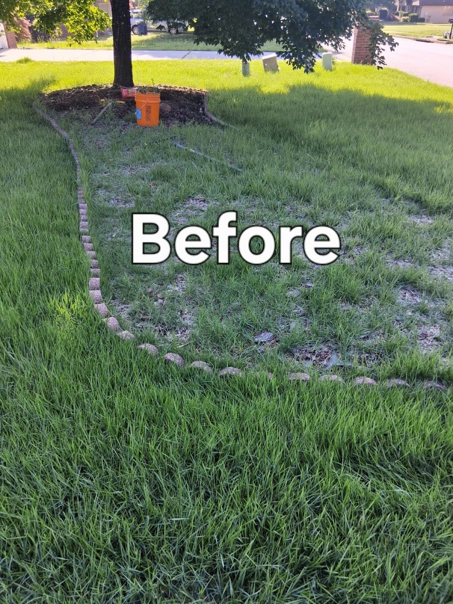 Jimenez Lawn & Landscaping, photo 2