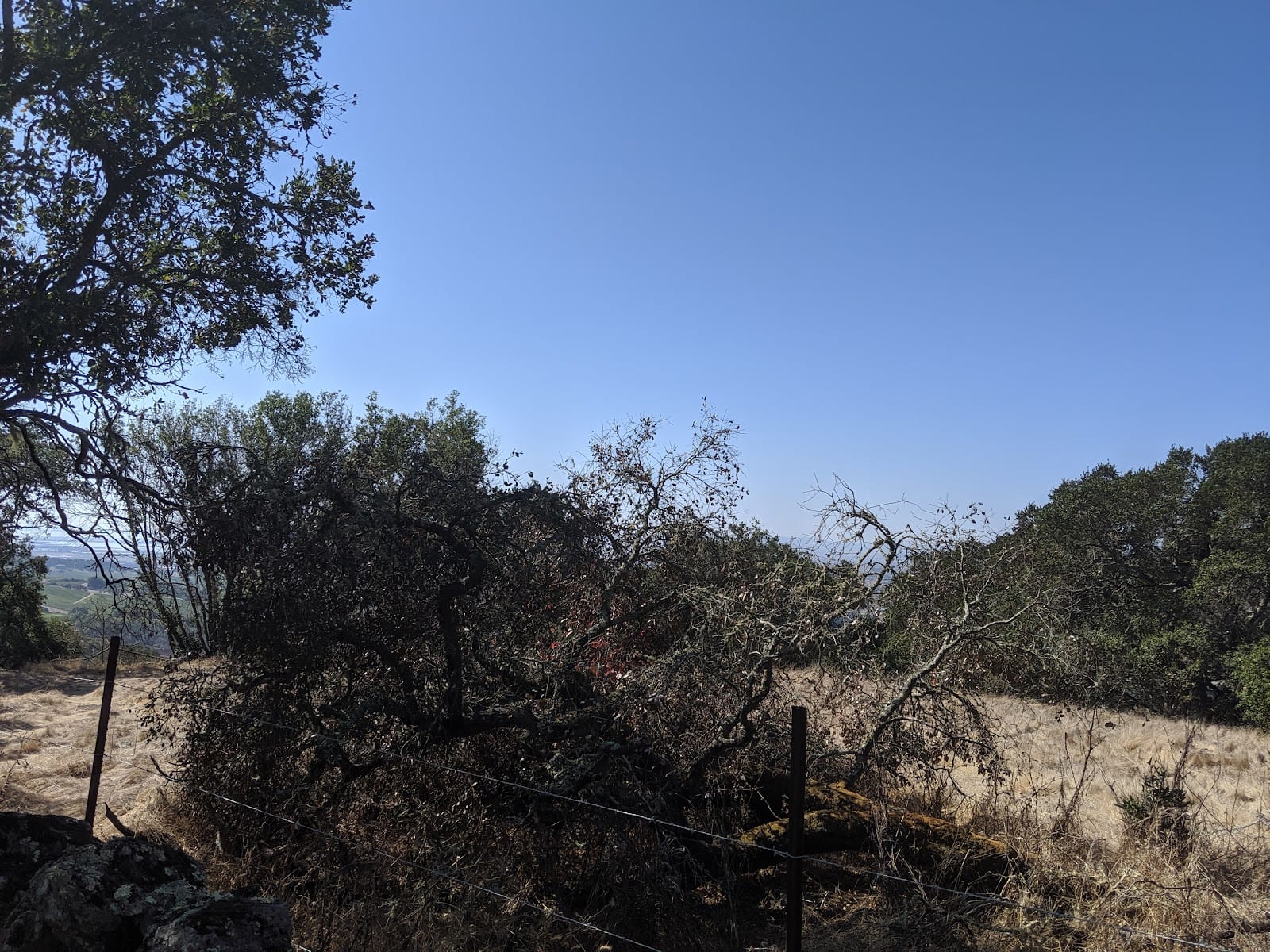 Lake Marie Trailhead