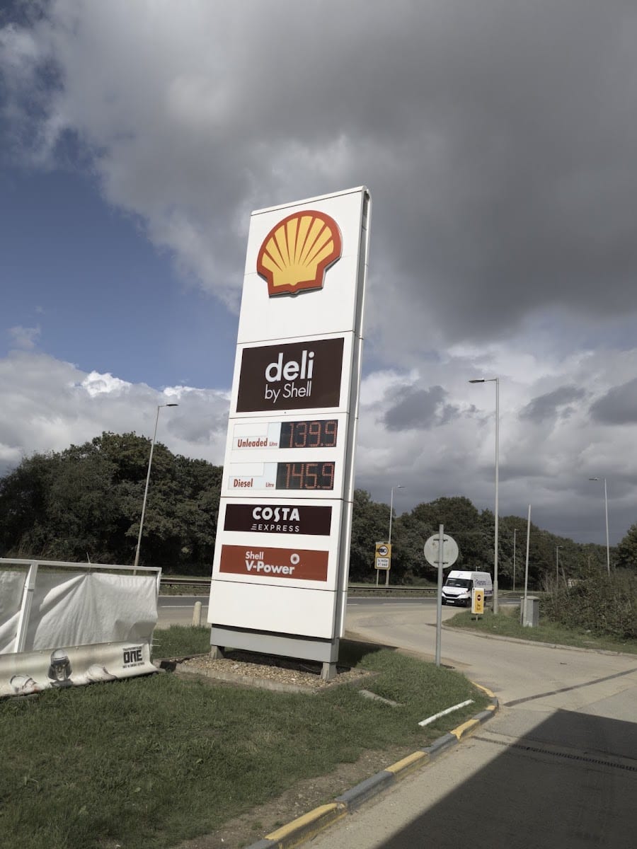 Shell, photo 3