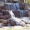 Living Waters Pond & Garden