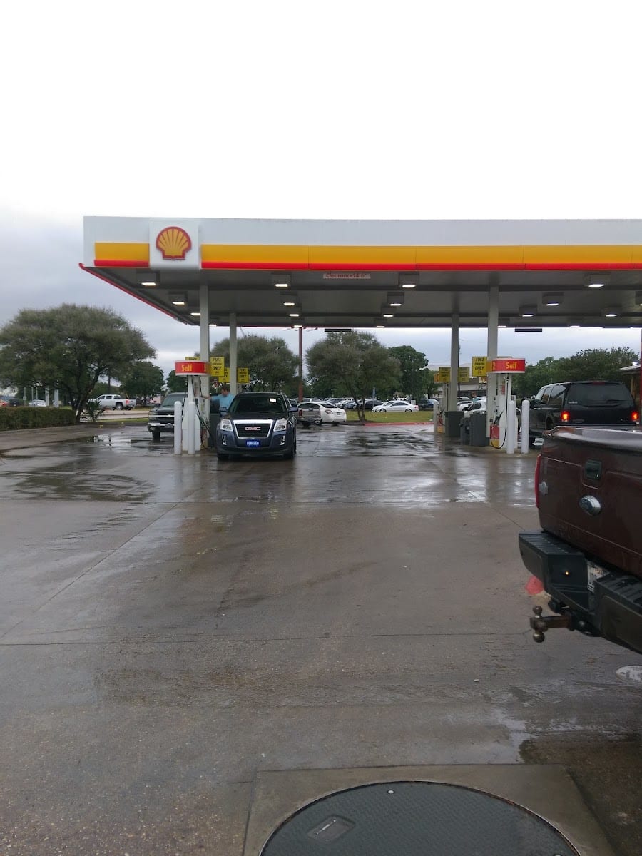 Shell, photo 3