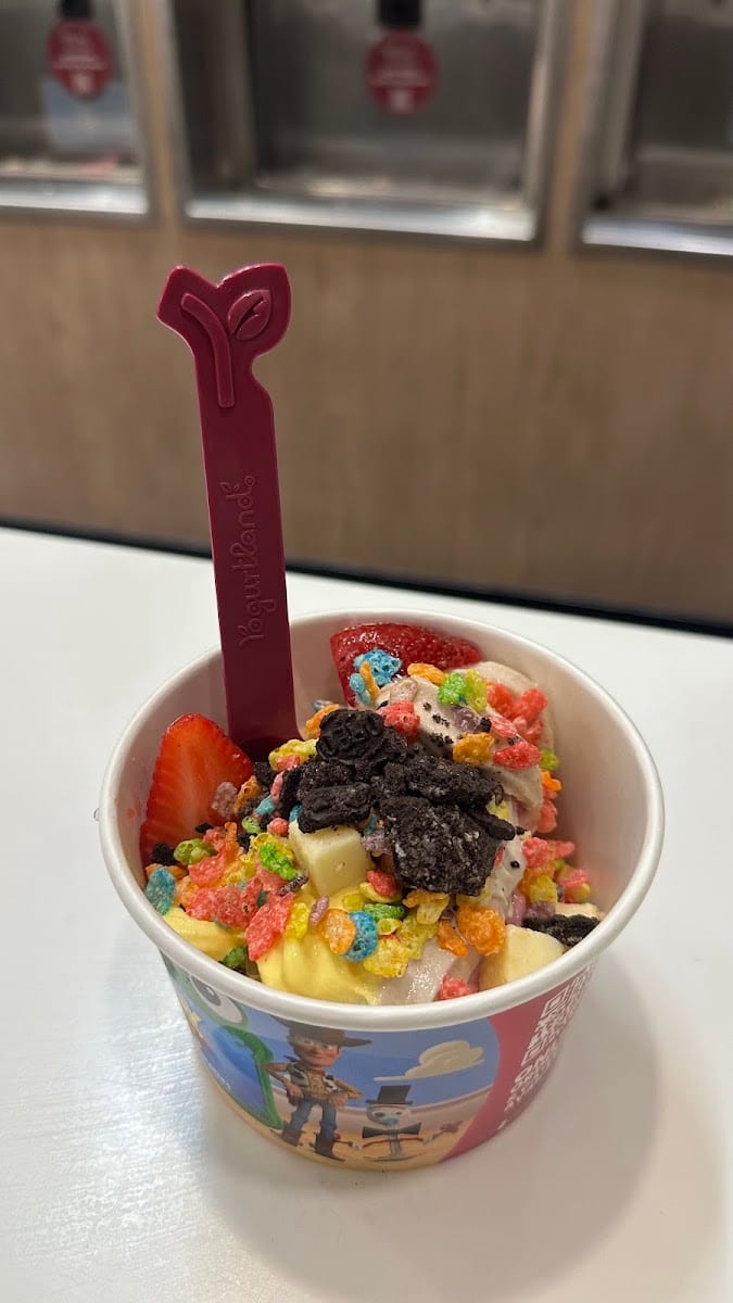 Yogurtland Irvine, photo 4