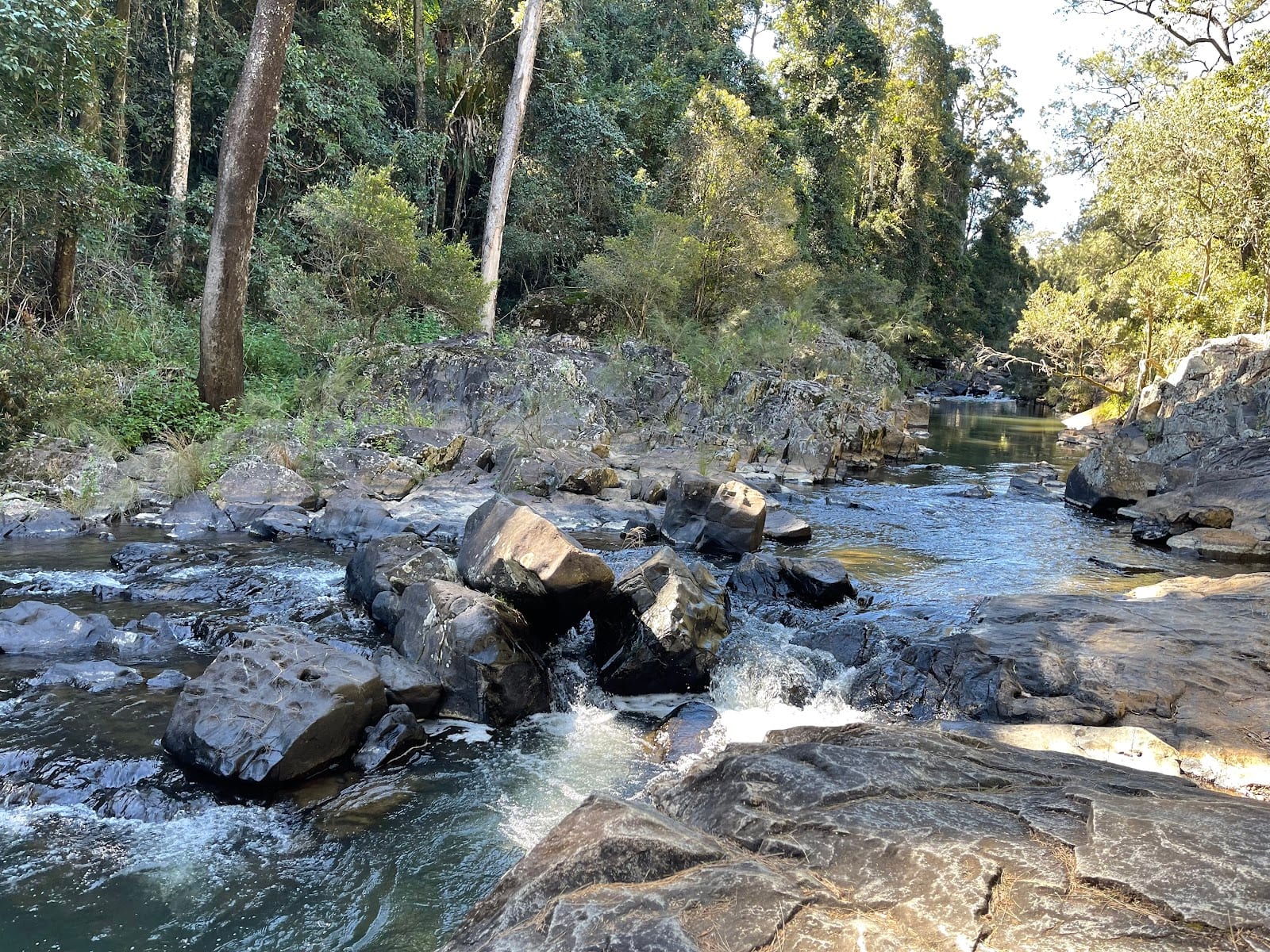 Eungella National Park-Broken River Section