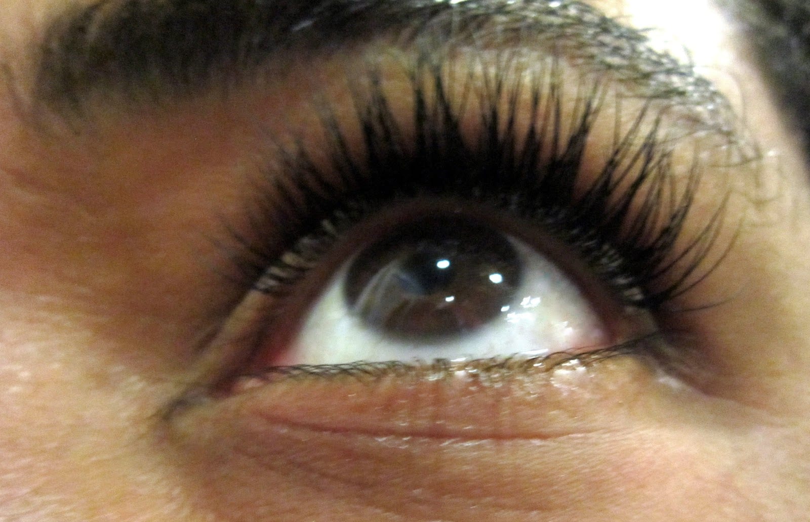 Lofty Lashes, photo 4