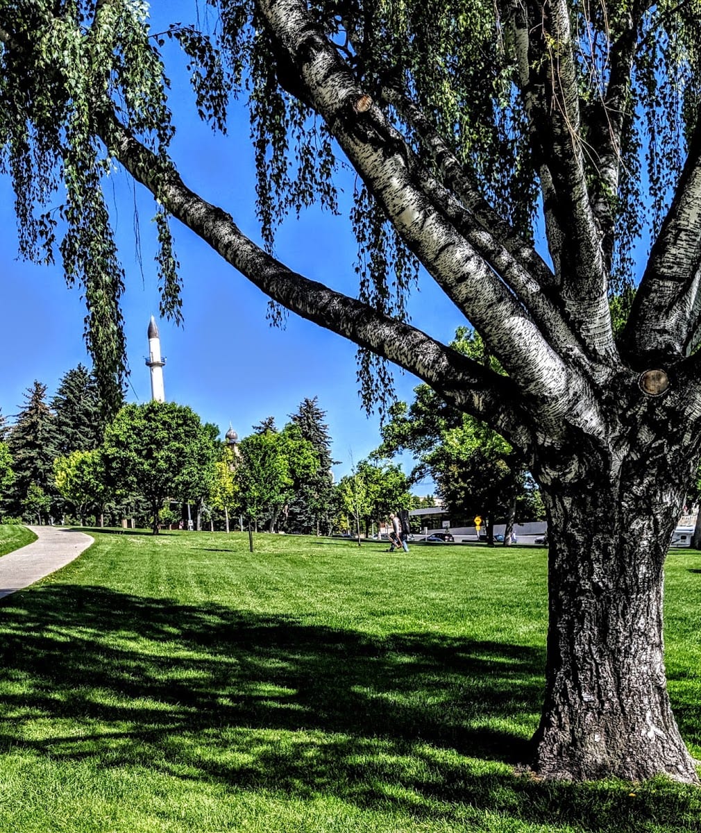 Womens Park