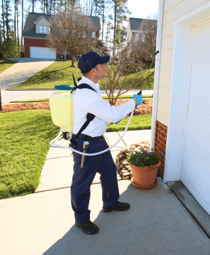 Insight Pest Solutions