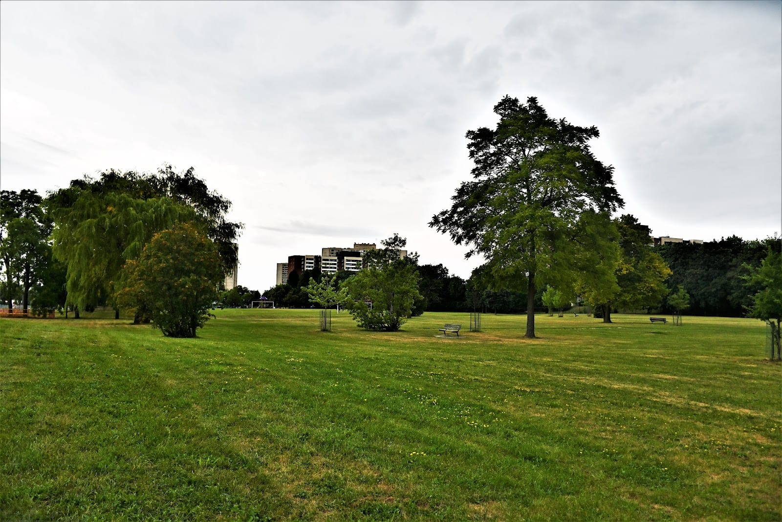 Fountainhead Park