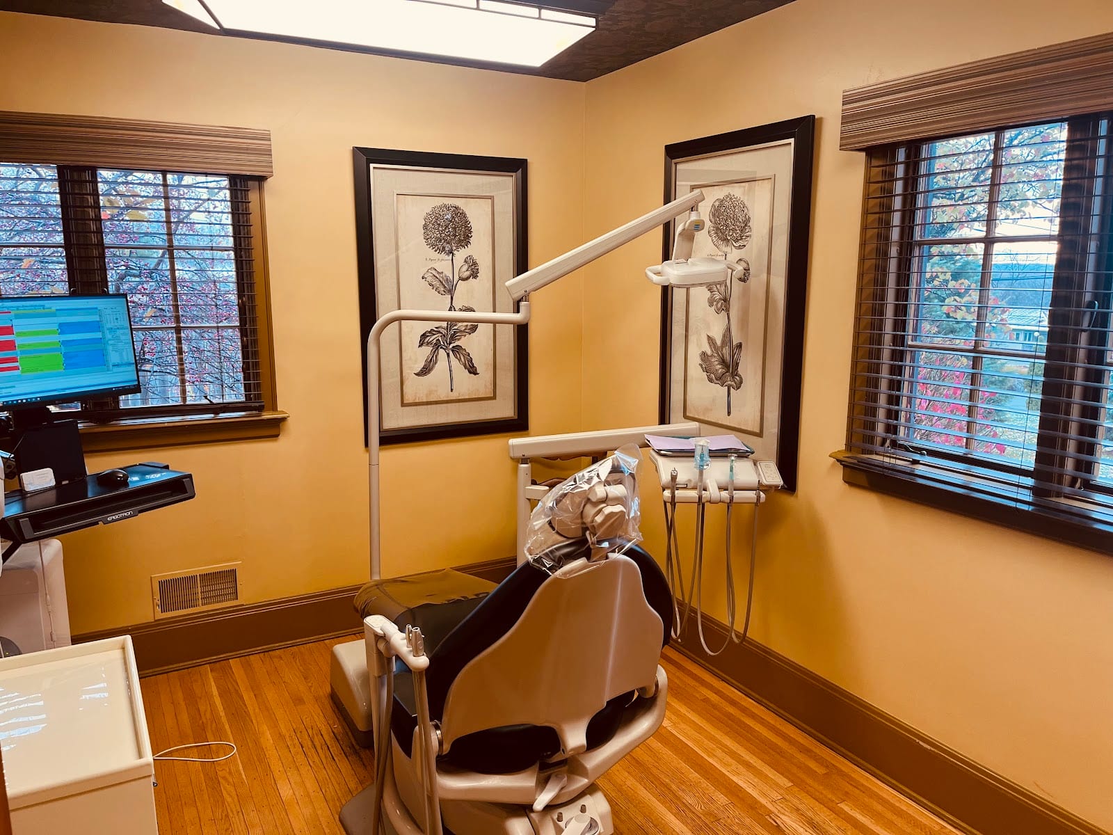 Rochester Modern Dentistry: Dr. Shyenne Pougher, photo 3