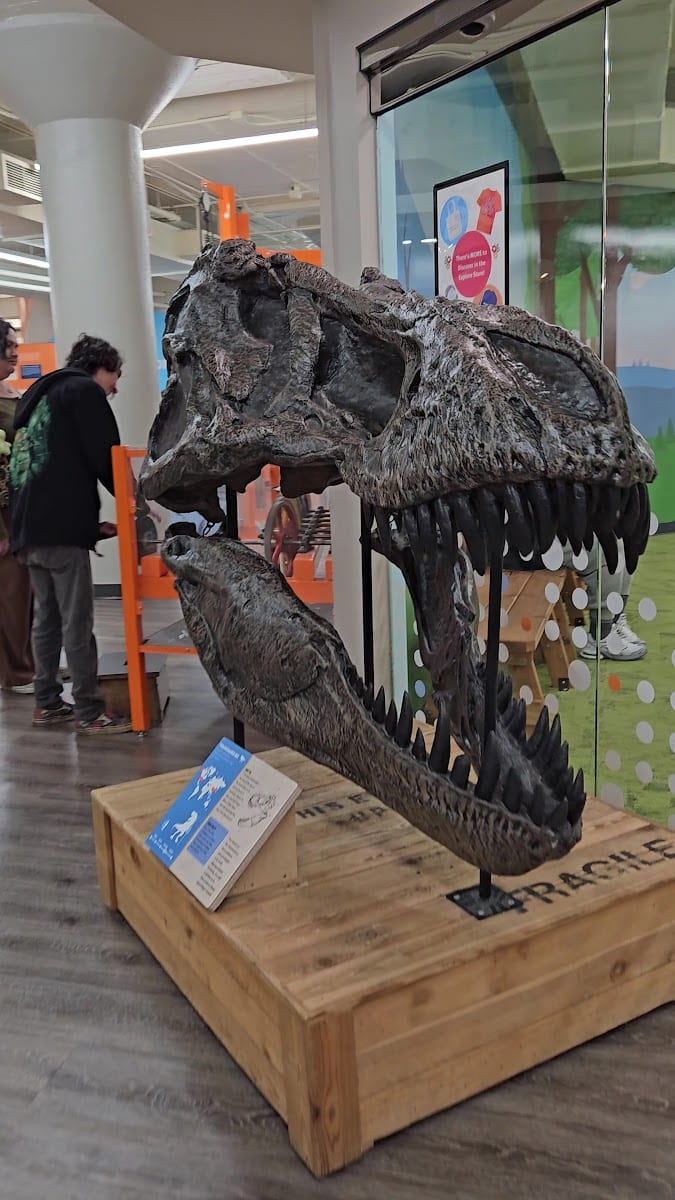 Museum of Discovery, photo 4