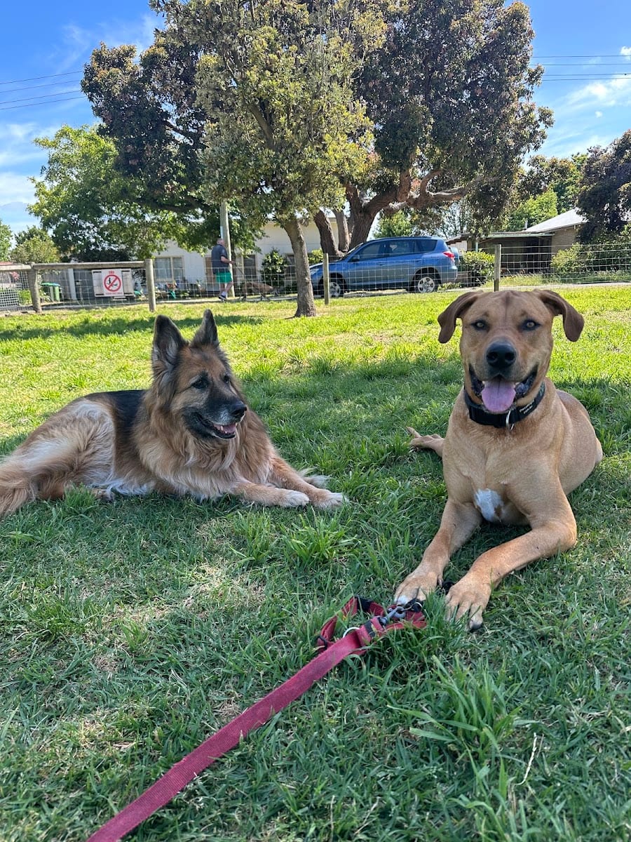 Murrowong dog park, photo 3