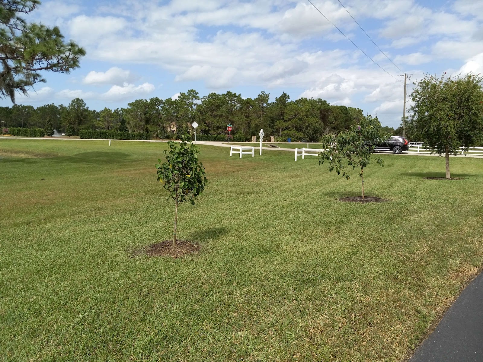Bulls Landscape & Design, photo 2