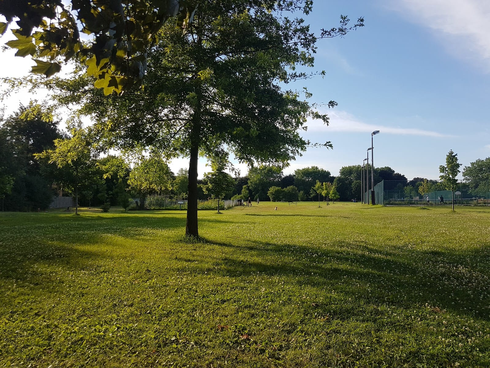 Rockford Park