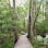 Spring Creek Greenway