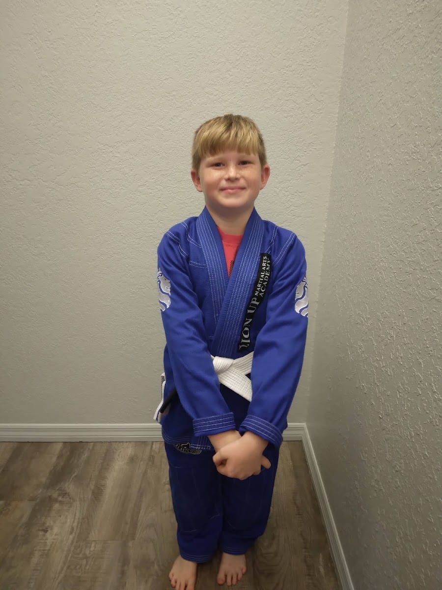 Lion Up Martial Arts Academy, photo 2