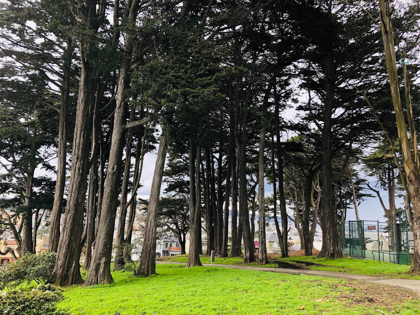 Holly Park