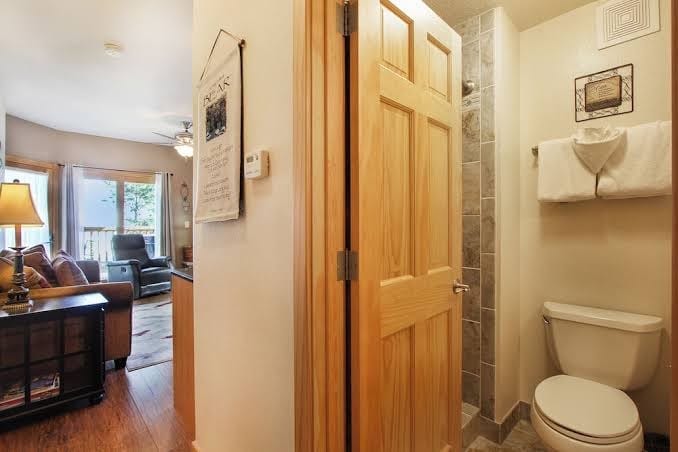 Estes Park CO Condos, photo 3