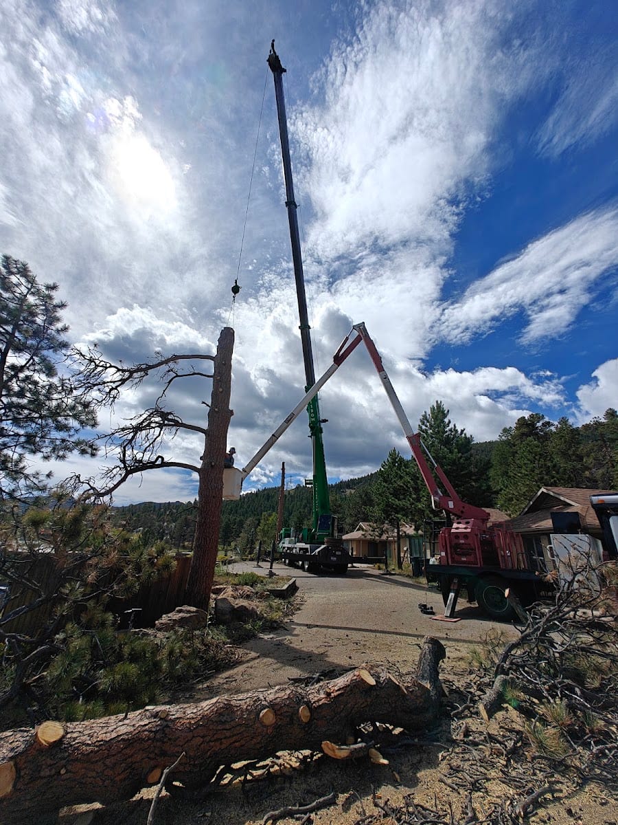 Estes Valley Tree Care LLC, photo 4