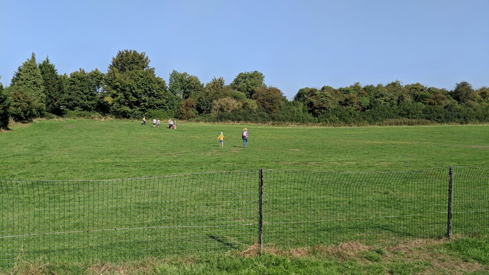 Cottonmill Play Area