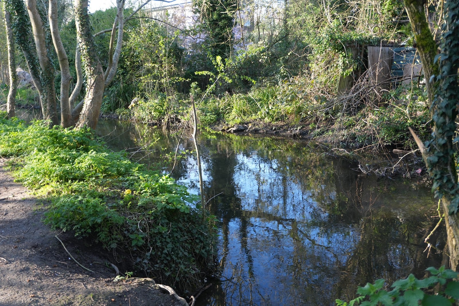 River Ver Trail