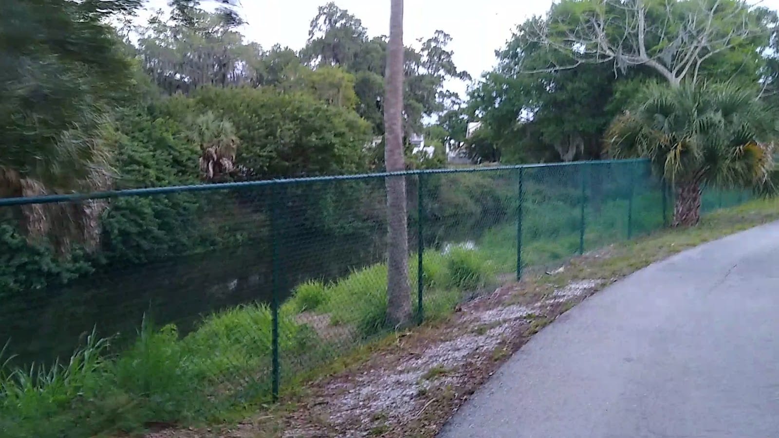 Phillippi Creek Levee Trail, photo 2