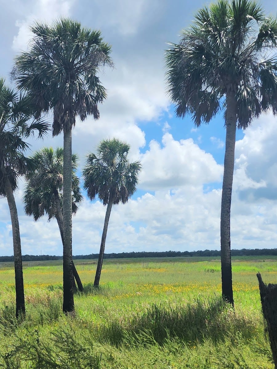 Meadow Sweet Pastures