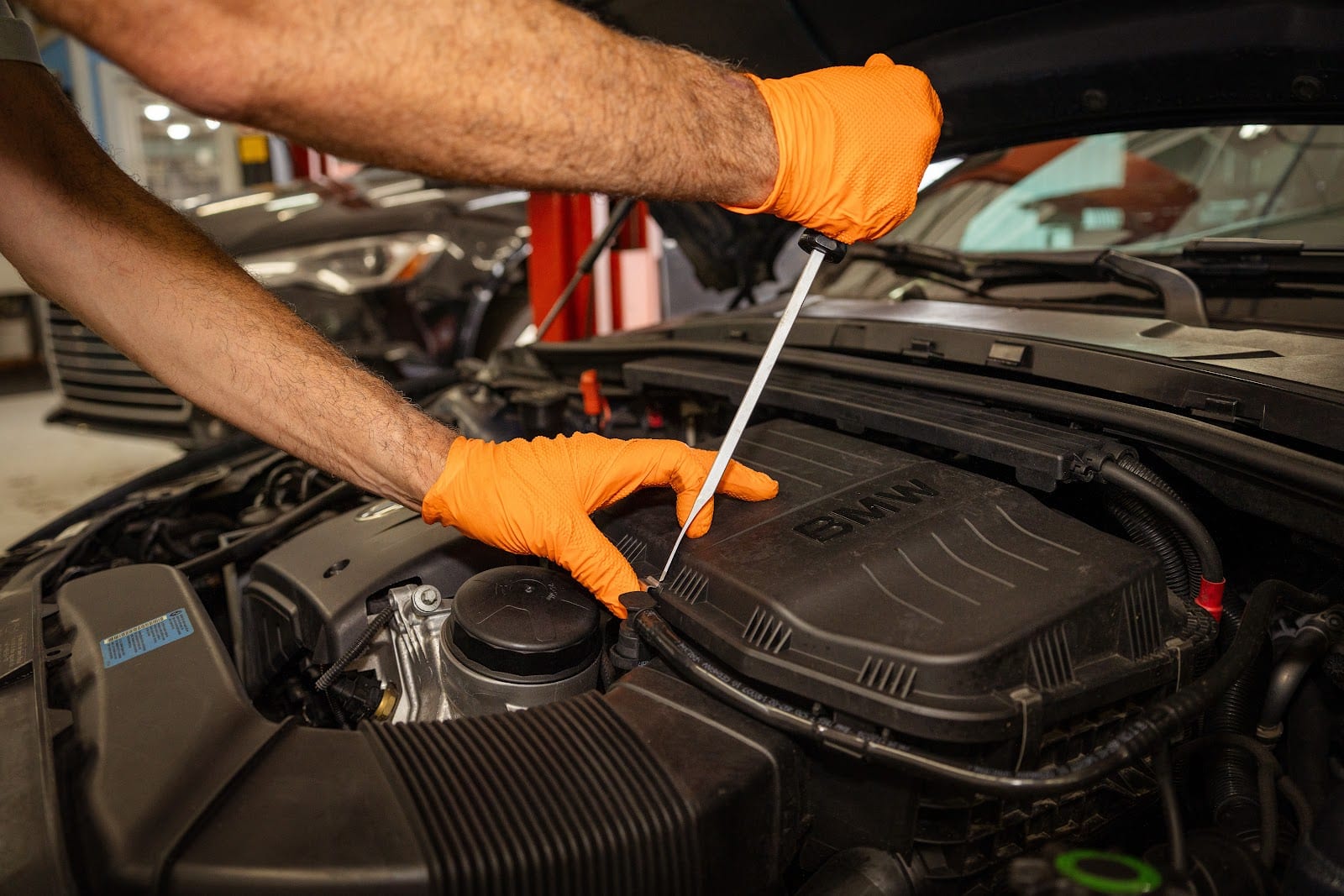 Krause's European Car Care, photo 3