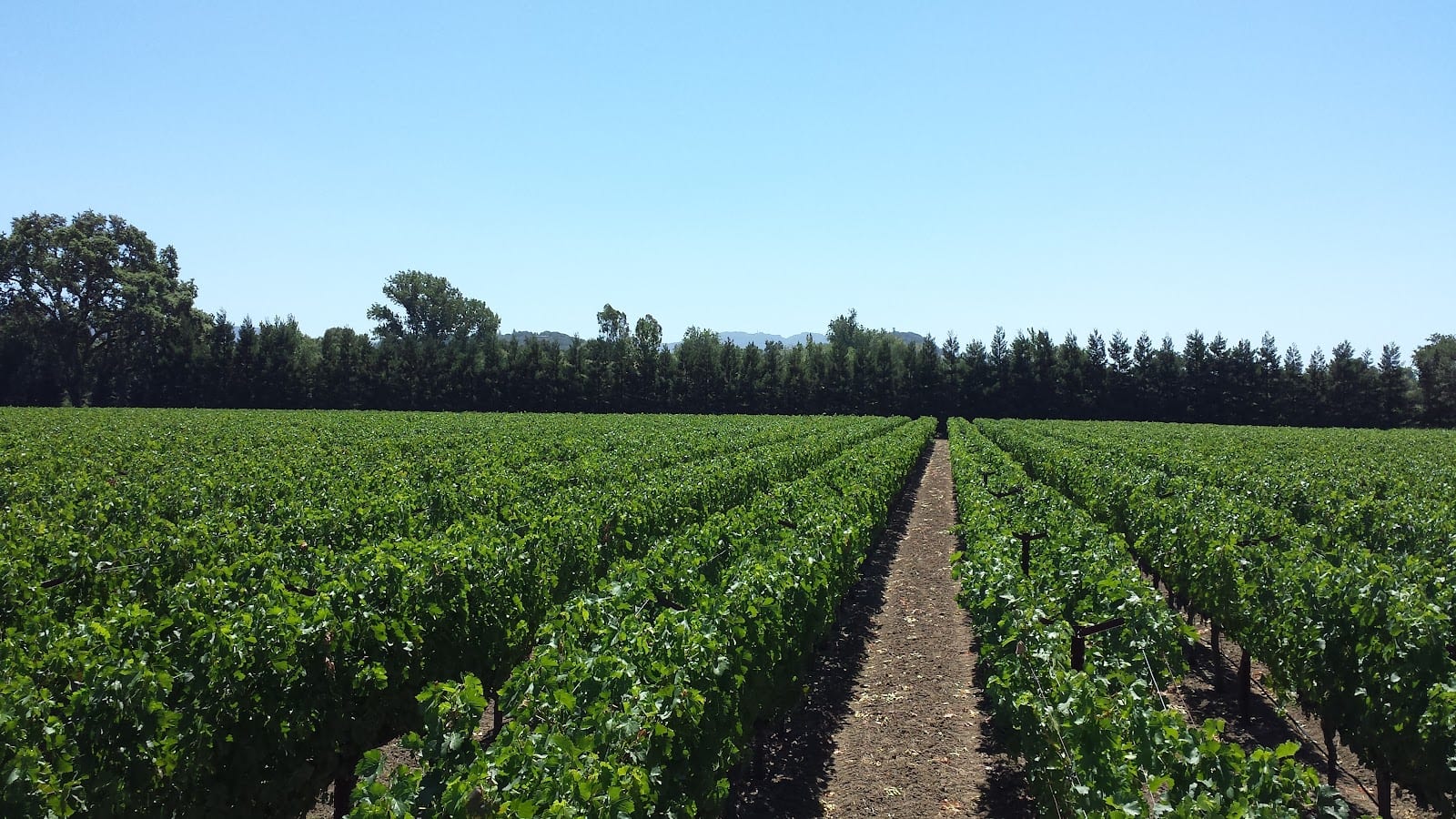 Heritage Vineyard Management Inc