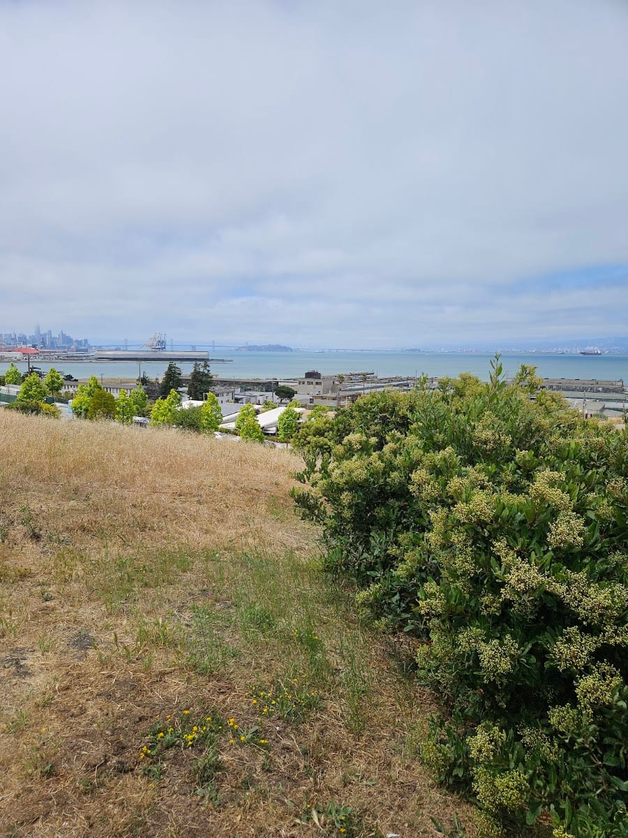 Hillpoint Park, photo 2