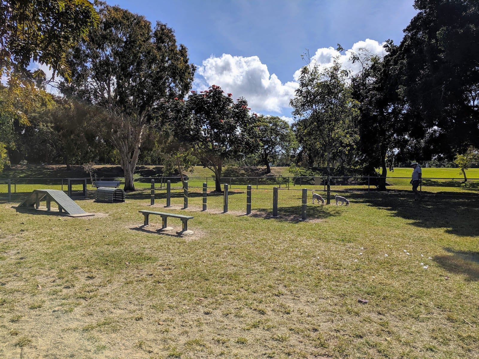 Mackay Off Lead Fenced Dog Park