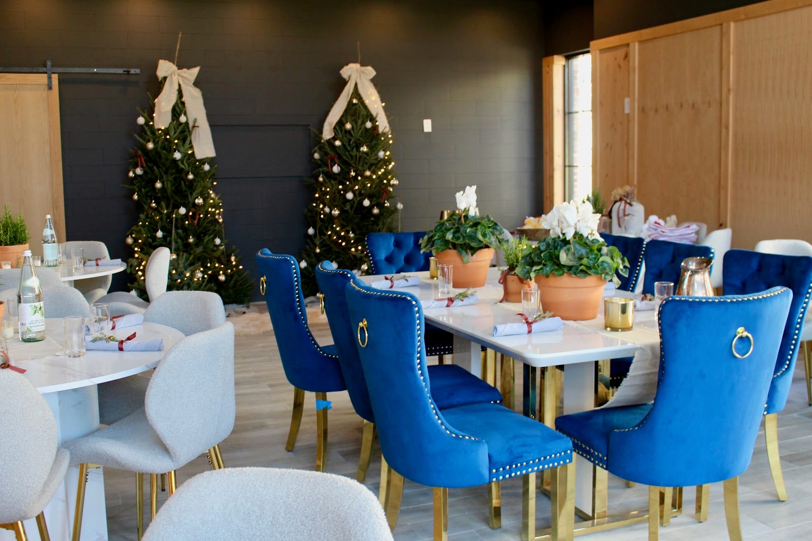 Vinifera Wine Lounge & Bistro