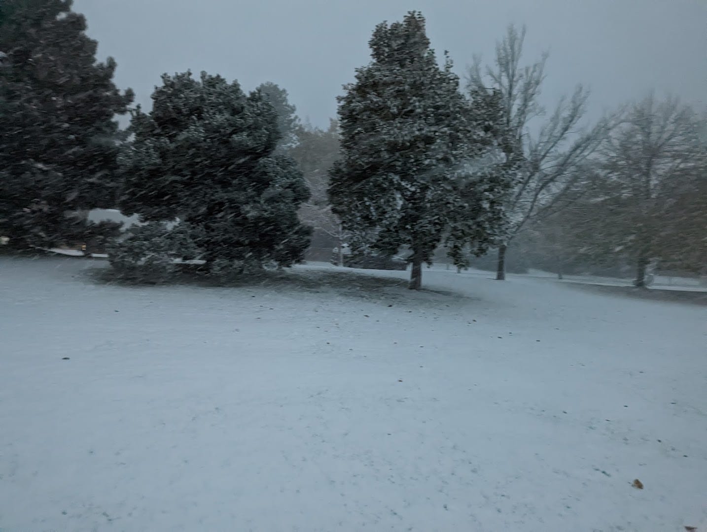 Foxridge Park, photo 4