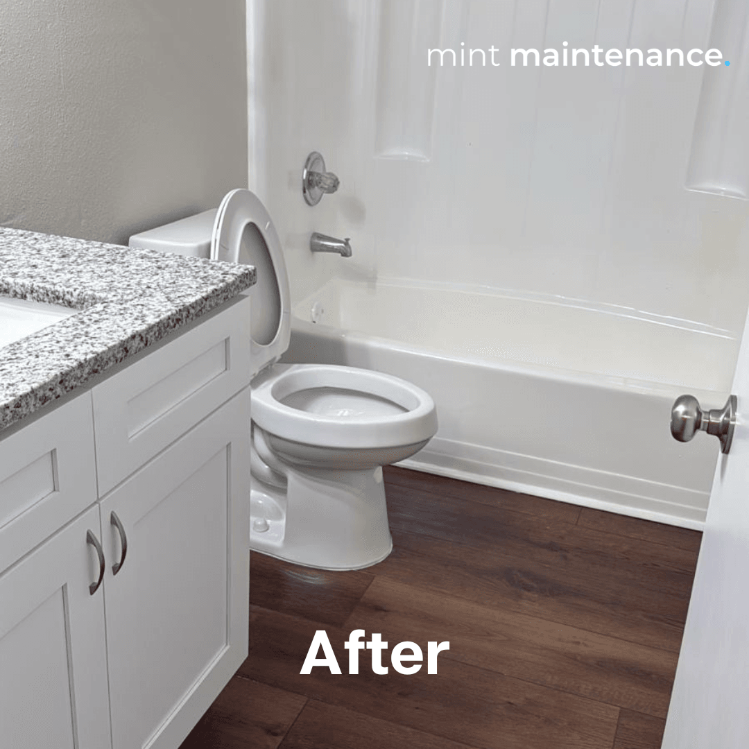 Mint Maintenance